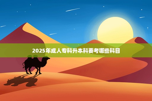 2025年成人专科升本科要考哪些科目