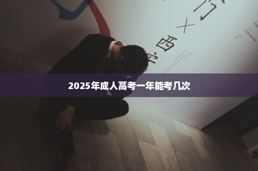 2025年成人高考一年能考几次