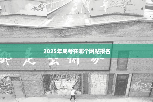 2025年成考在哪个网站报名