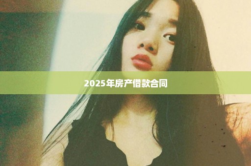 2025年房产借款合同