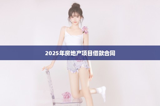 2025年房地产项目借款合同