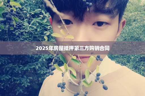 2025年房屋抵押第三方购销合同