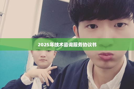 2025年技术咨询服务协议书