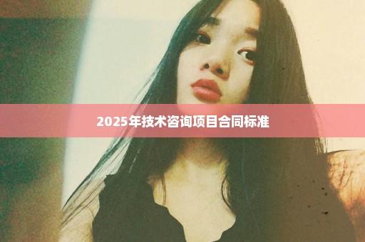 2025年技术咨询项目合同标准
