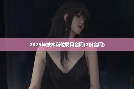 2025年技术岗位聘用合同(2份合同)