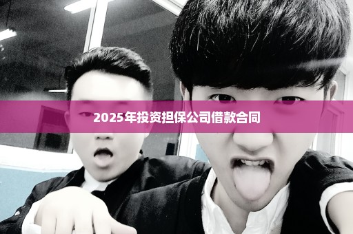 2025年投资担保公司借款合同