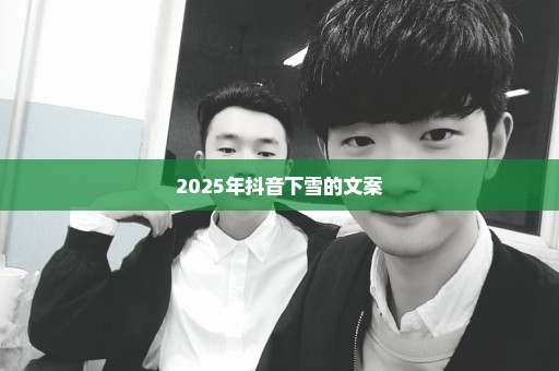 2025年抖音下雪的文案