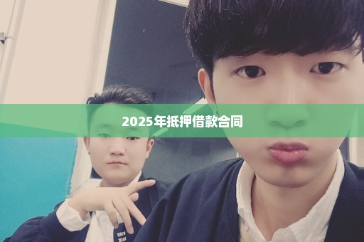 2025年抵押借款合同