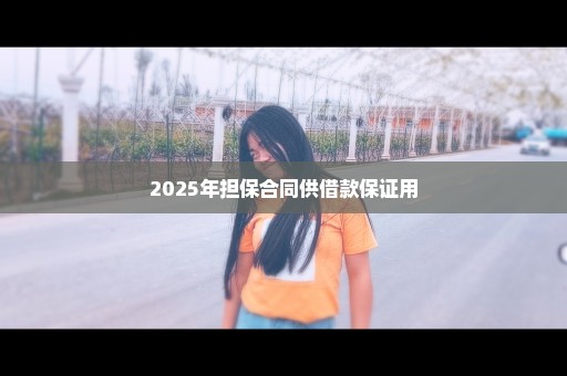 2025年担保合同供借款保证用