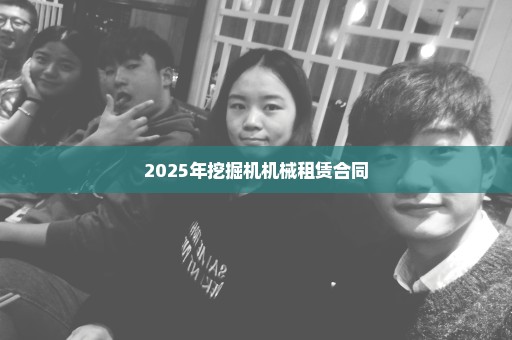 2025年挖掘机机械租赁合同