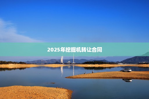 2025年挖掘机转让合同