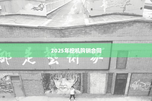 2025年挖机购销合同