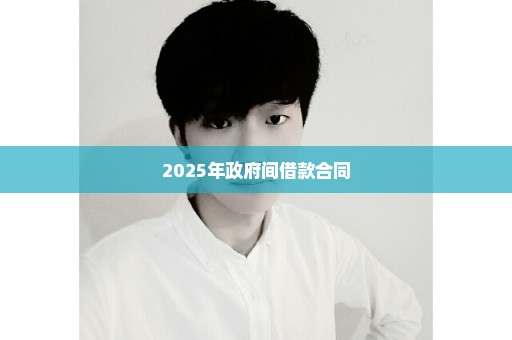 2025年政府间借款合同