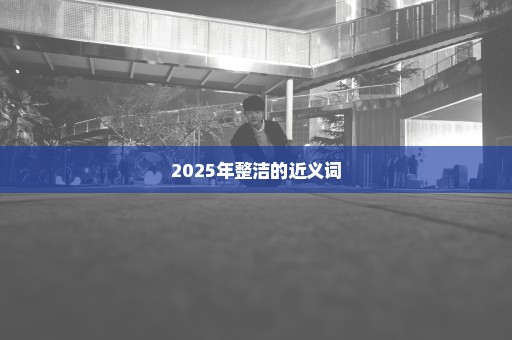 2025年整洁的近义词