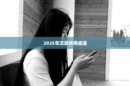 2025年文武并用成语