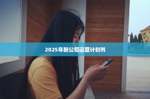 2025年新公司运营计划书