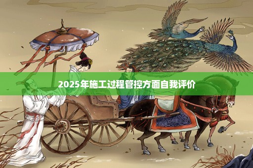 2025年施工过程管控方面自我评价