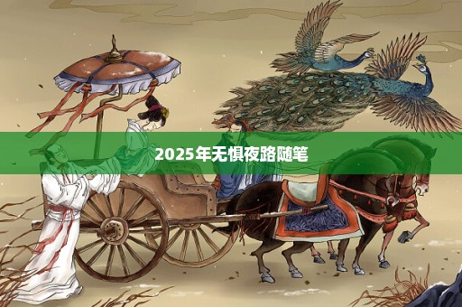 2025年无惧夜路随笔