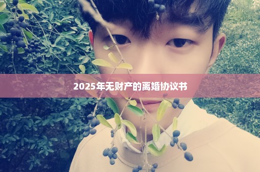 2025年无财产的离婚协议书