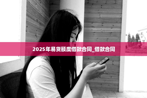 2025年易货额度借款合同_借款合同