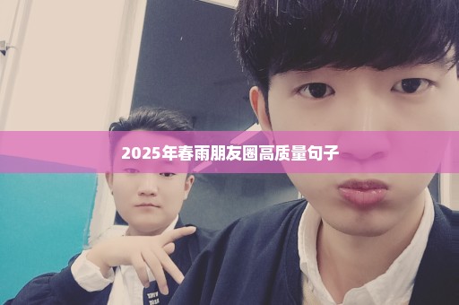 2025年春雨朋友圈高质量句子