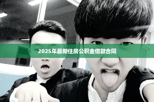 2025年最新住房公积金借款合同