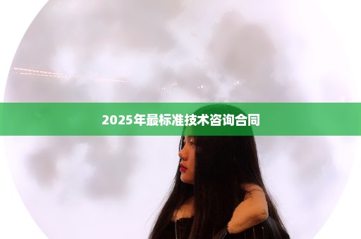 2025年最标准技术咨询合同