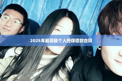2025年最高额个人担保借款合同