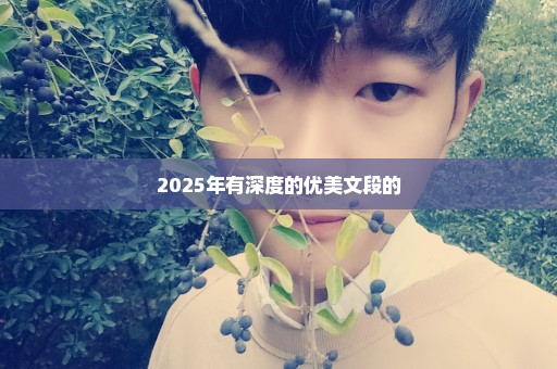 2025年有深度的优美文段的