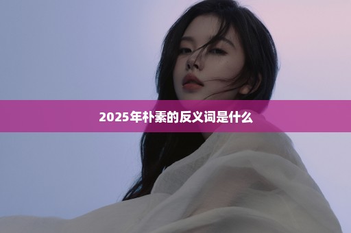 2025年朴素的反义词是什么