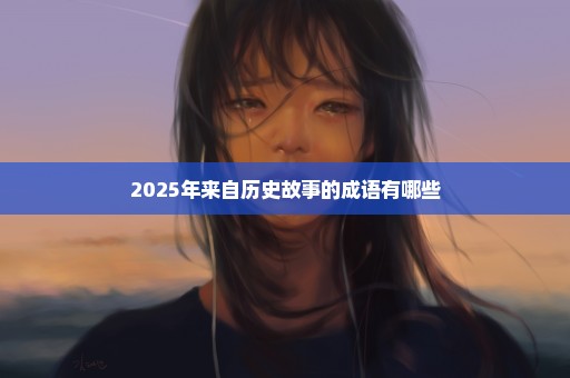 2025年来自历史故事的成语有哪些