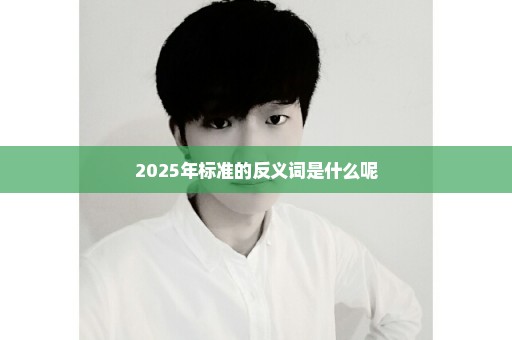 2025年标准的反义词是什么呢