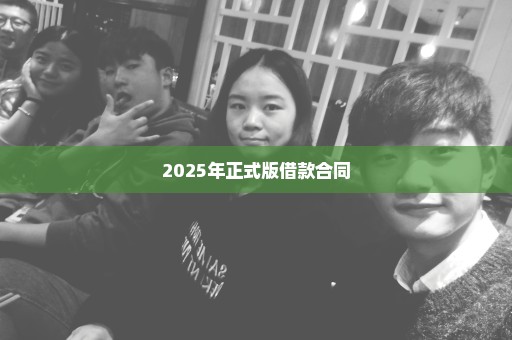 2025年正式版借款合同