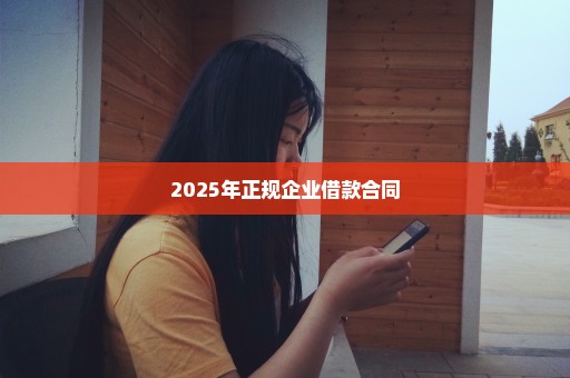 2025年正规企业借款合同