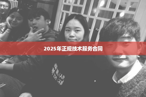 2025年正规技术服务合同