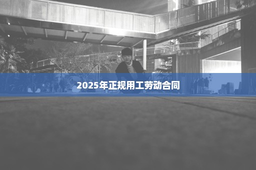 2025年正规用工劳动合同