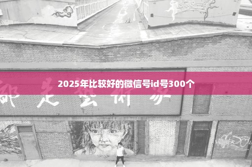 2025年比较好的微信号id号300个