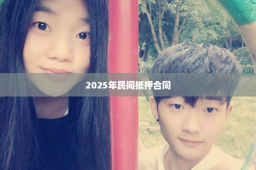 2025年民间抵押合同