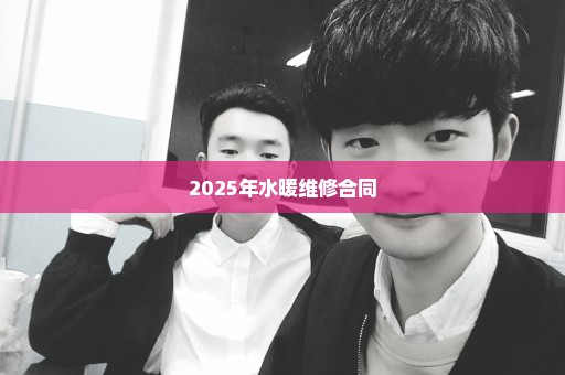 2025年水暖维修合同