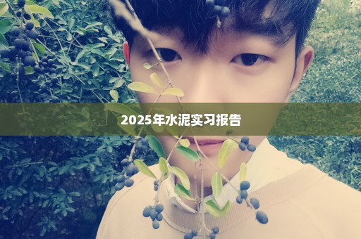 2025年水泥实习报告