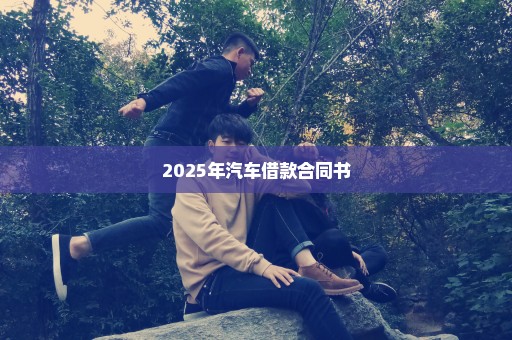2025年汽车借款合同书