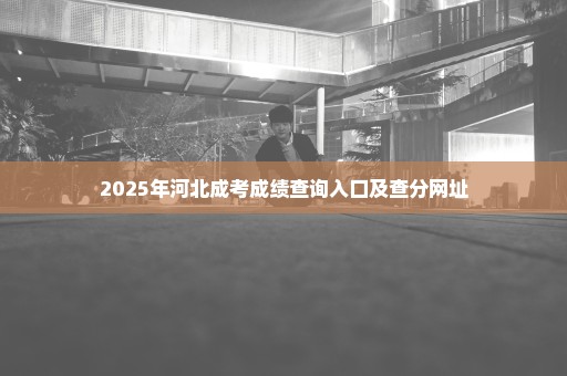 2025年河北成考成绩查询入口及查分网址