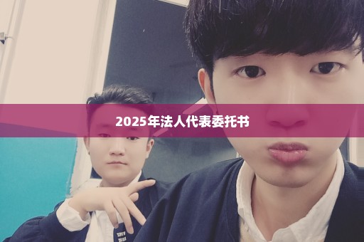 2025年法人代表委托书