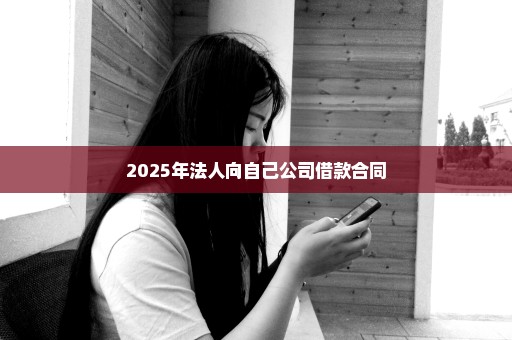 2025年法人向自己公司借款合同