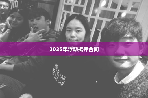 2025年浮动抵押合同