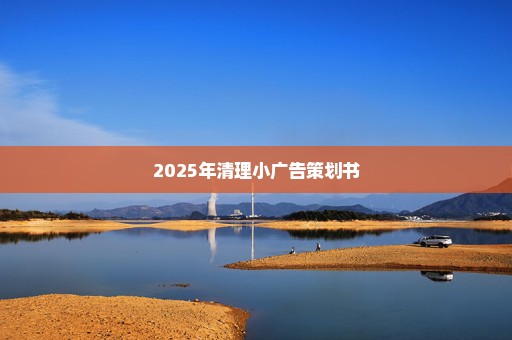 2025年清理小广告策划书