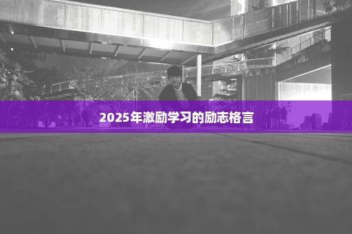 2025年激励学习的励志格言