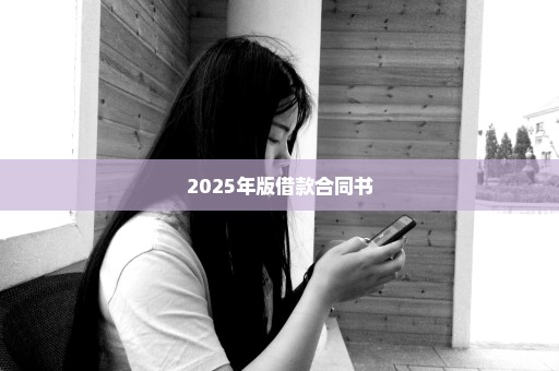 2025年版借款合同书