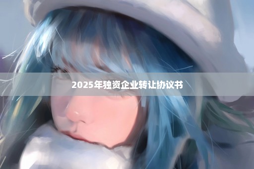 2025年独资企业转让协议书