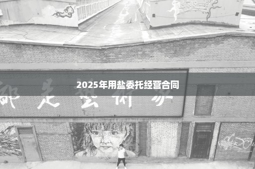 2025年用盐委托经营合同